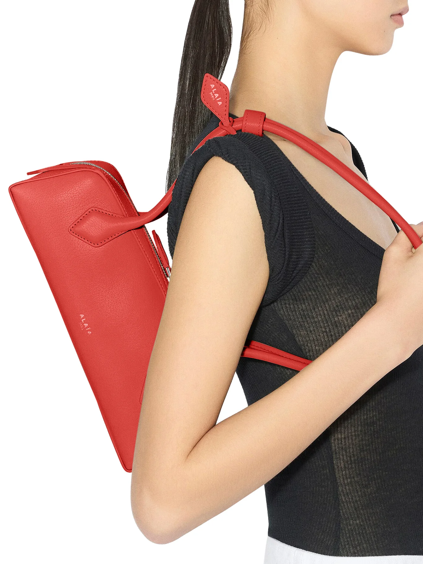 LE TECKEL SMALL IN GOATSKIN - Image 2